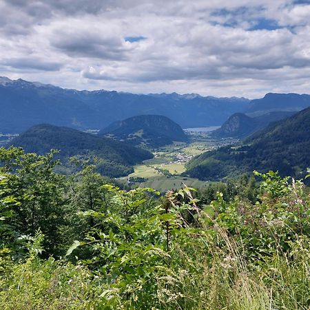 Apartmaji Vesna Bohinj Bagian luar foto