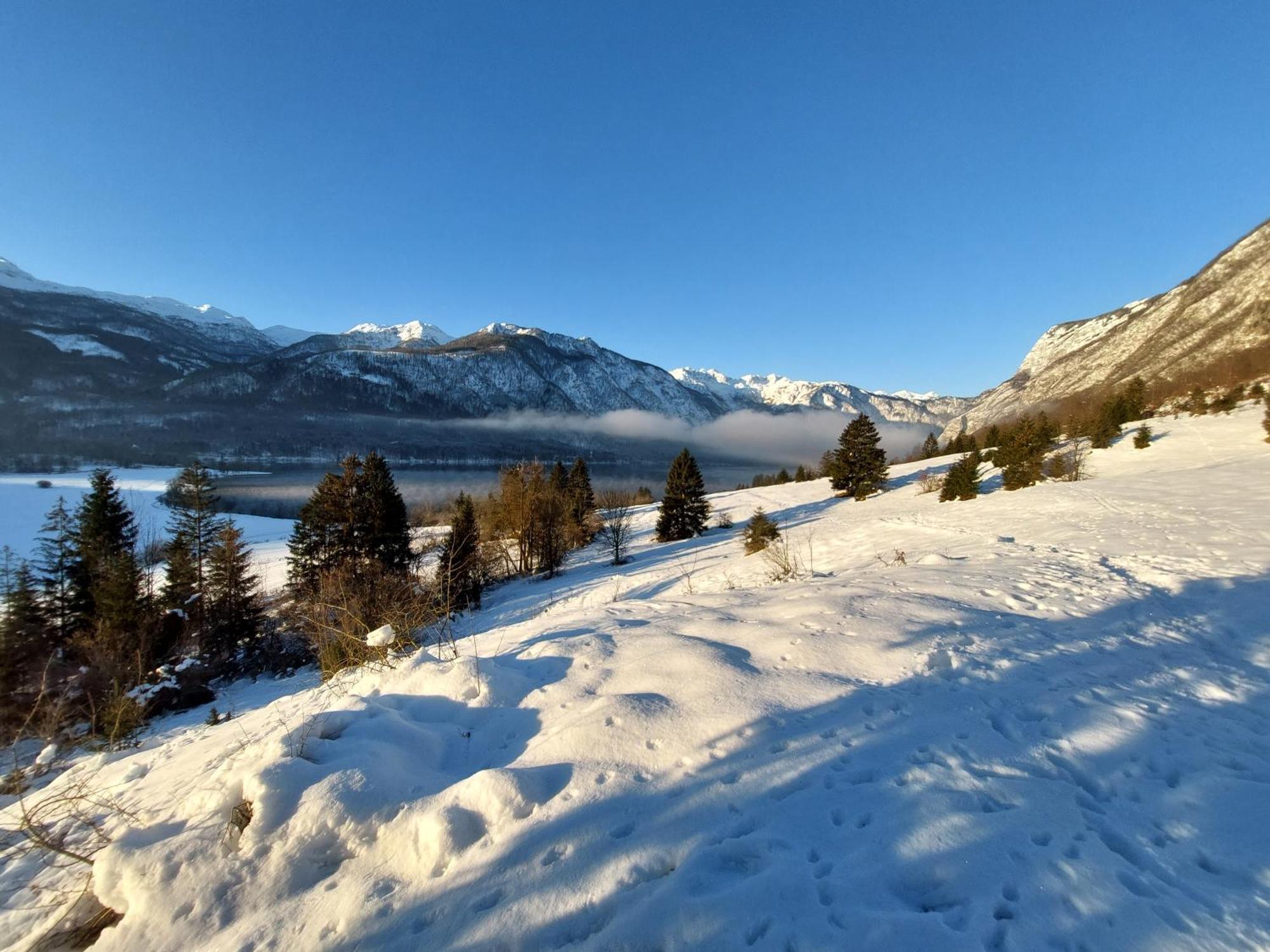 Apartmaji Vesna Bohinj Bagian luar foto
