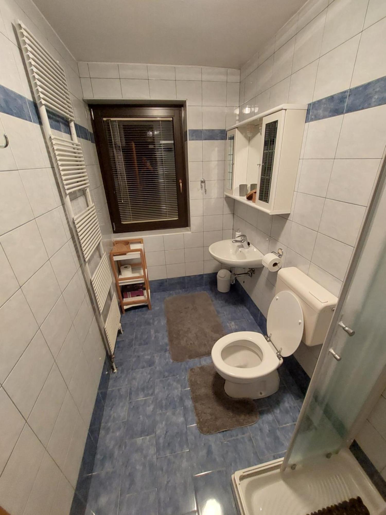 Apartmaji Vesna Bohinj Ruang foto