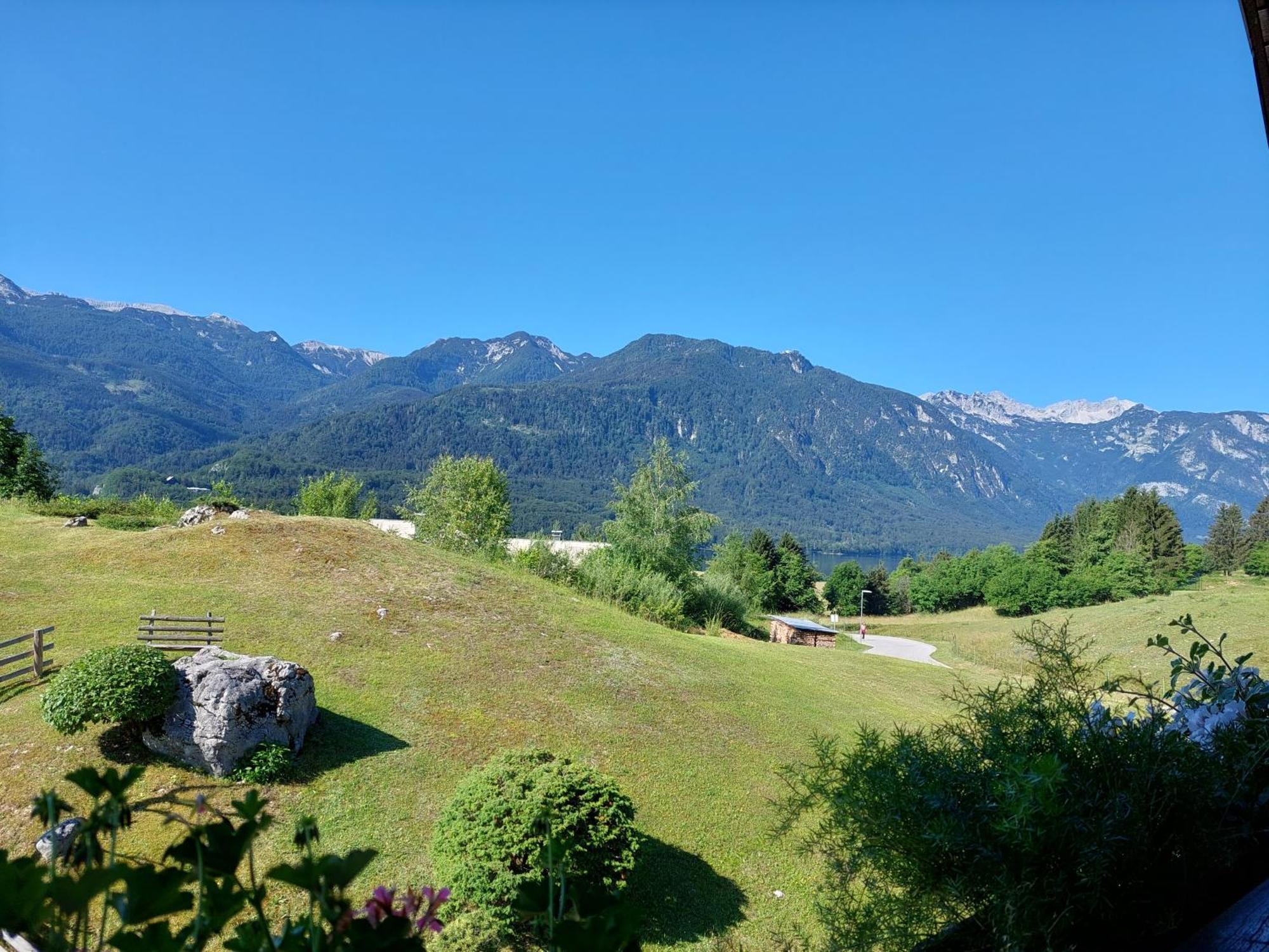Apartmaji Vesna Bohinj Bagian luar foto