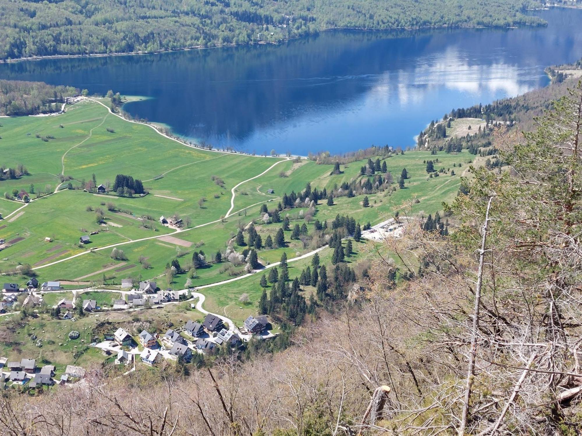 Apartmaji Vesna Bohinj Bagian luar foto