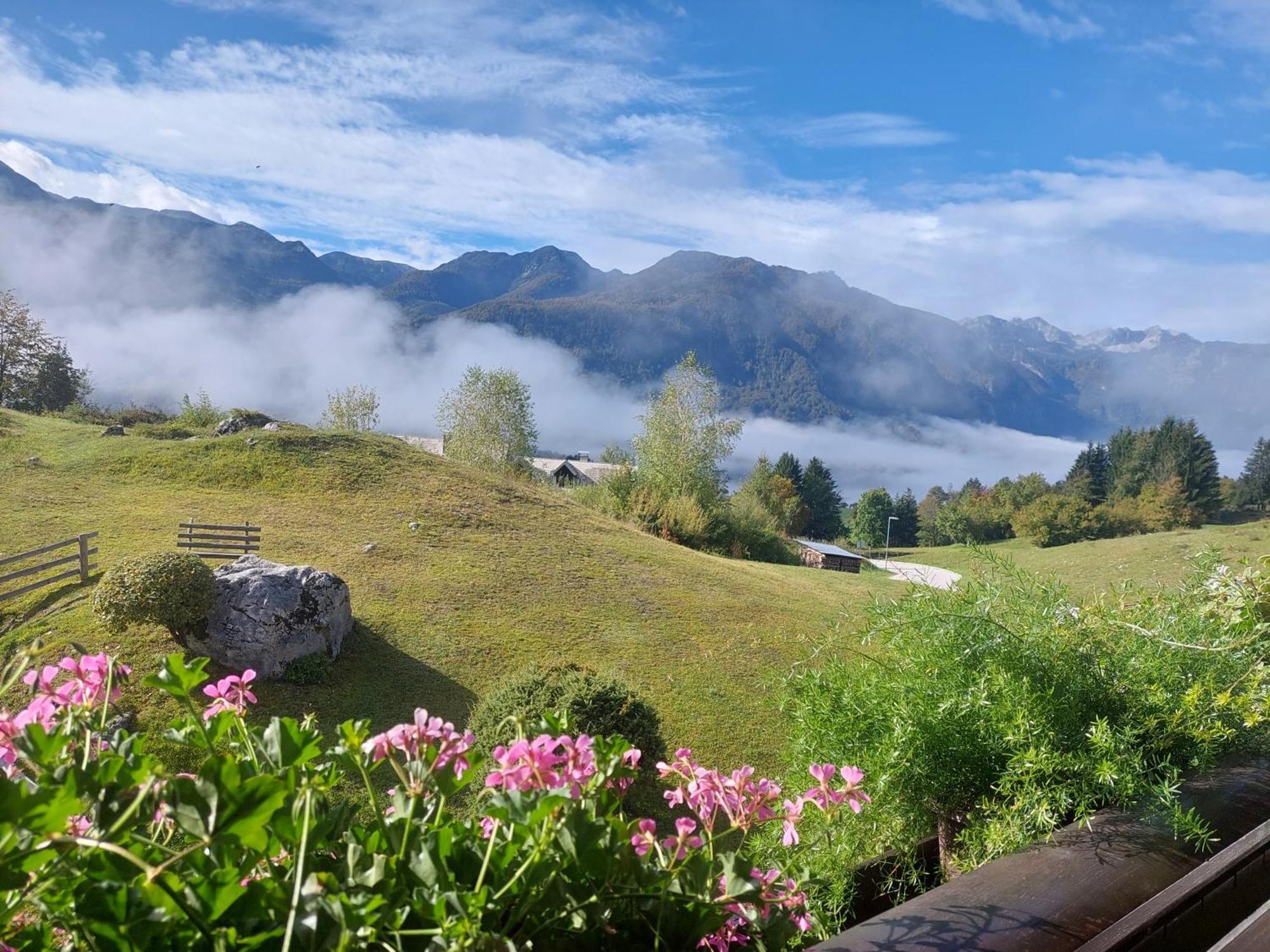 Apartmaji Vesna Bohinj Bagian luar foto