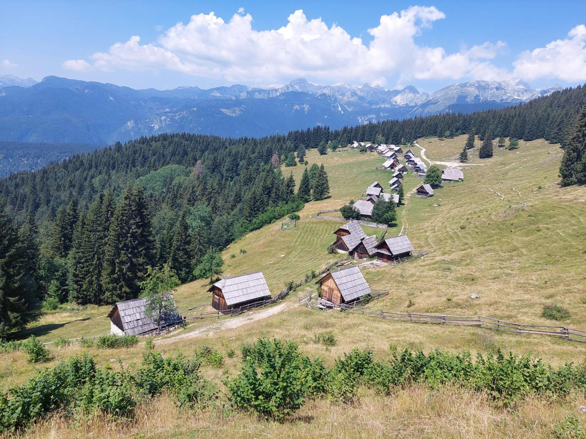 Apartmaji Vesna Bohinj Bagian luar foto